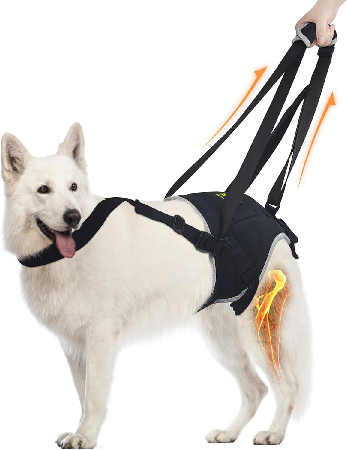 Dog Sling for Large Dogs with Hind Leg Support and Comfort