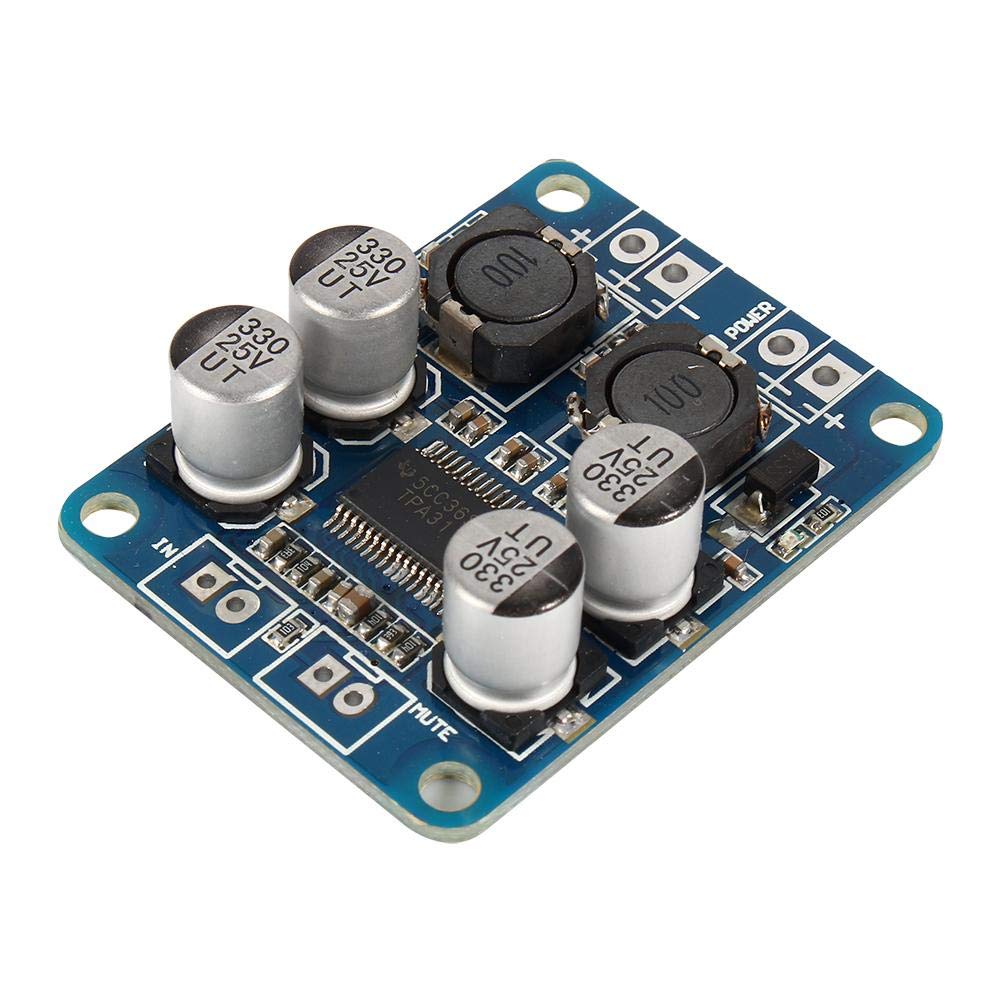 Zerone 60W Mono Amp: Powerful Digital Audio Module