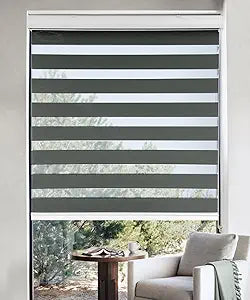 Zebra Roller Window Shades for Light Control and Privacy