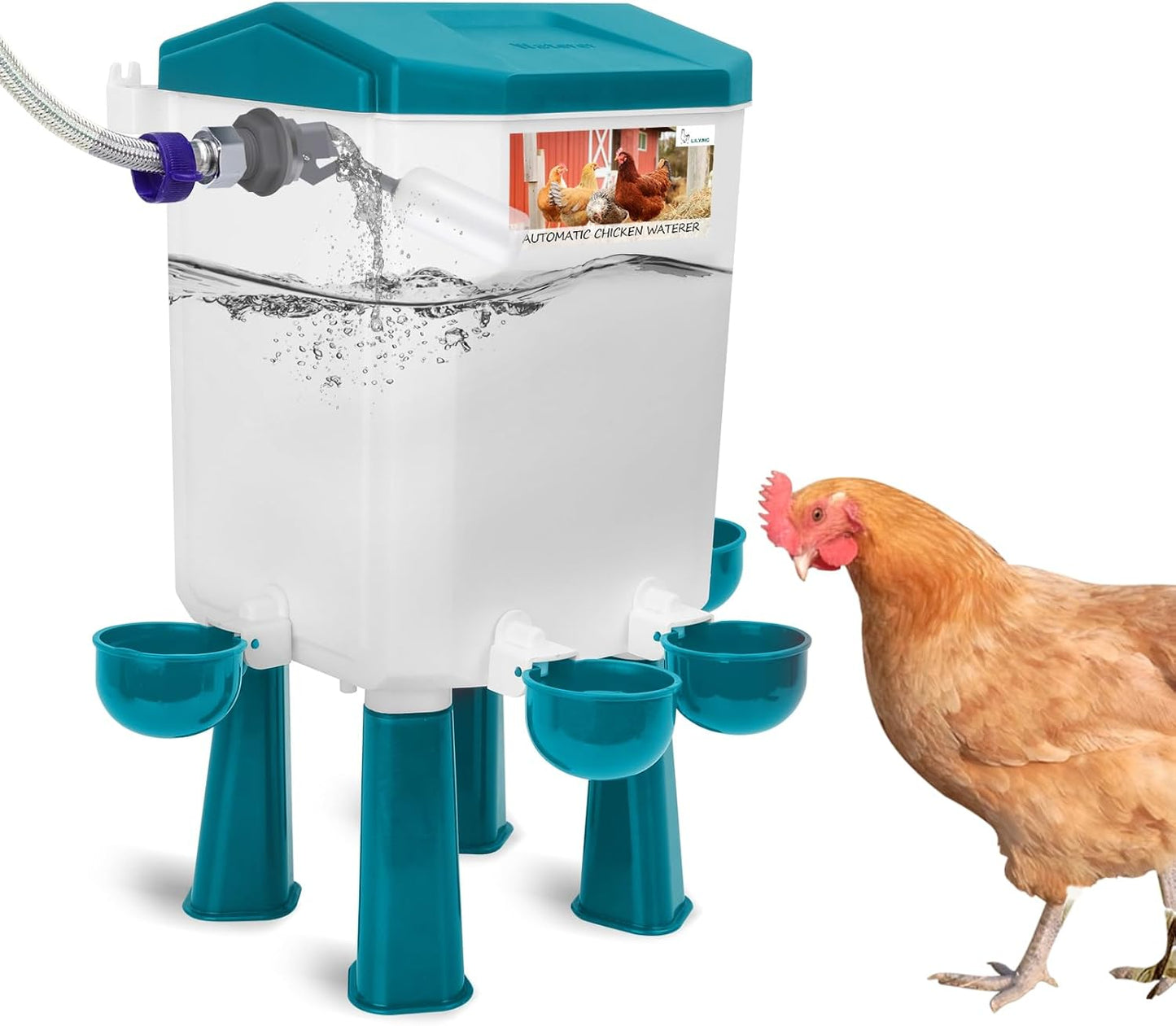 Float-Controlled Automatic Chicken Waterer for Fresh Water