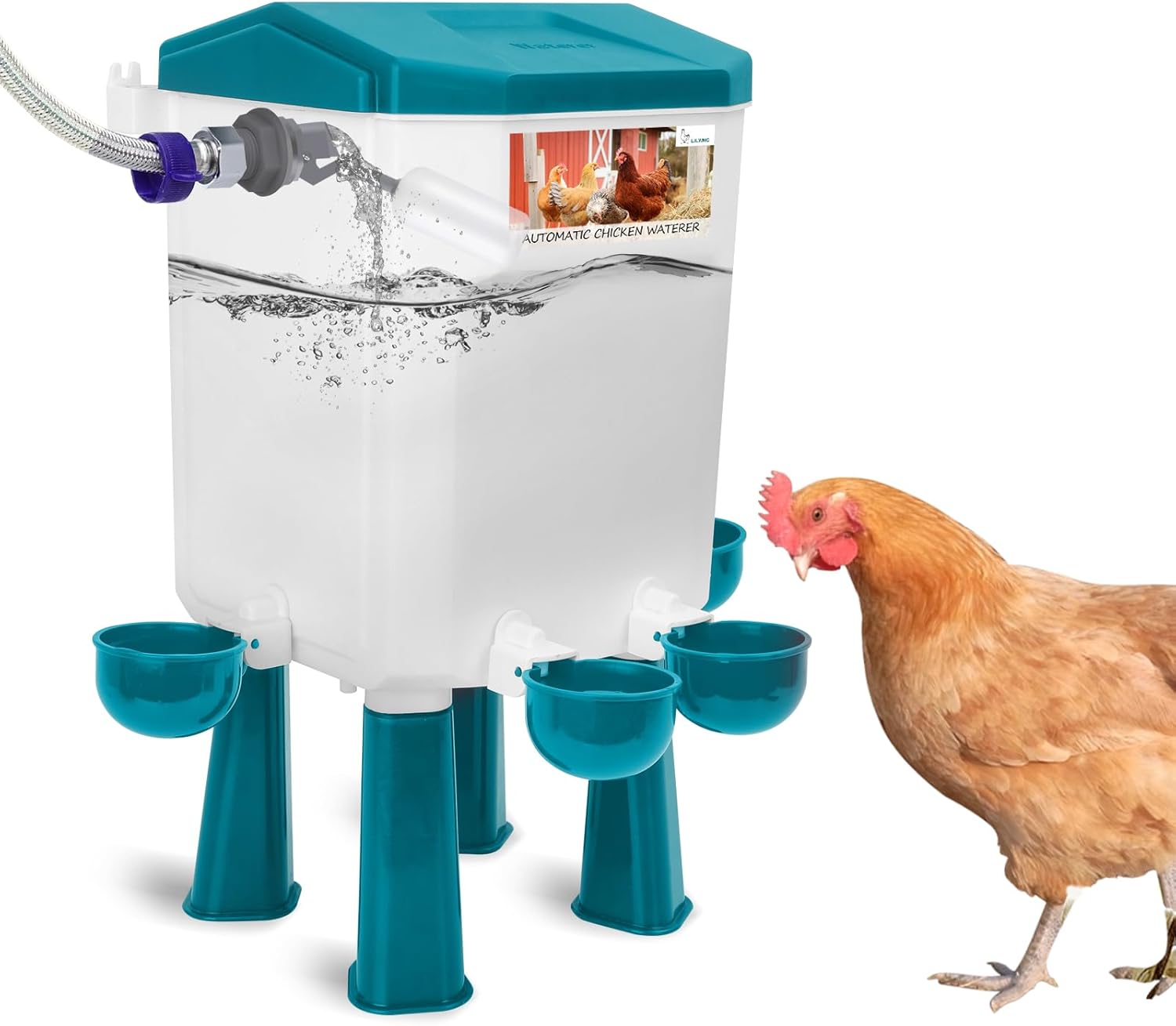 Float-Controlled Automatic Chicken Waterer for Fresh Water