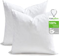 Feathers Down Throw Pillow Inserts 28x28 Set of 2 - Soft Lofty Fill