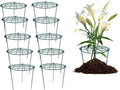 Grow Through Plant Support 16 x 24 in Pack of 10 - Durable Peony Cages