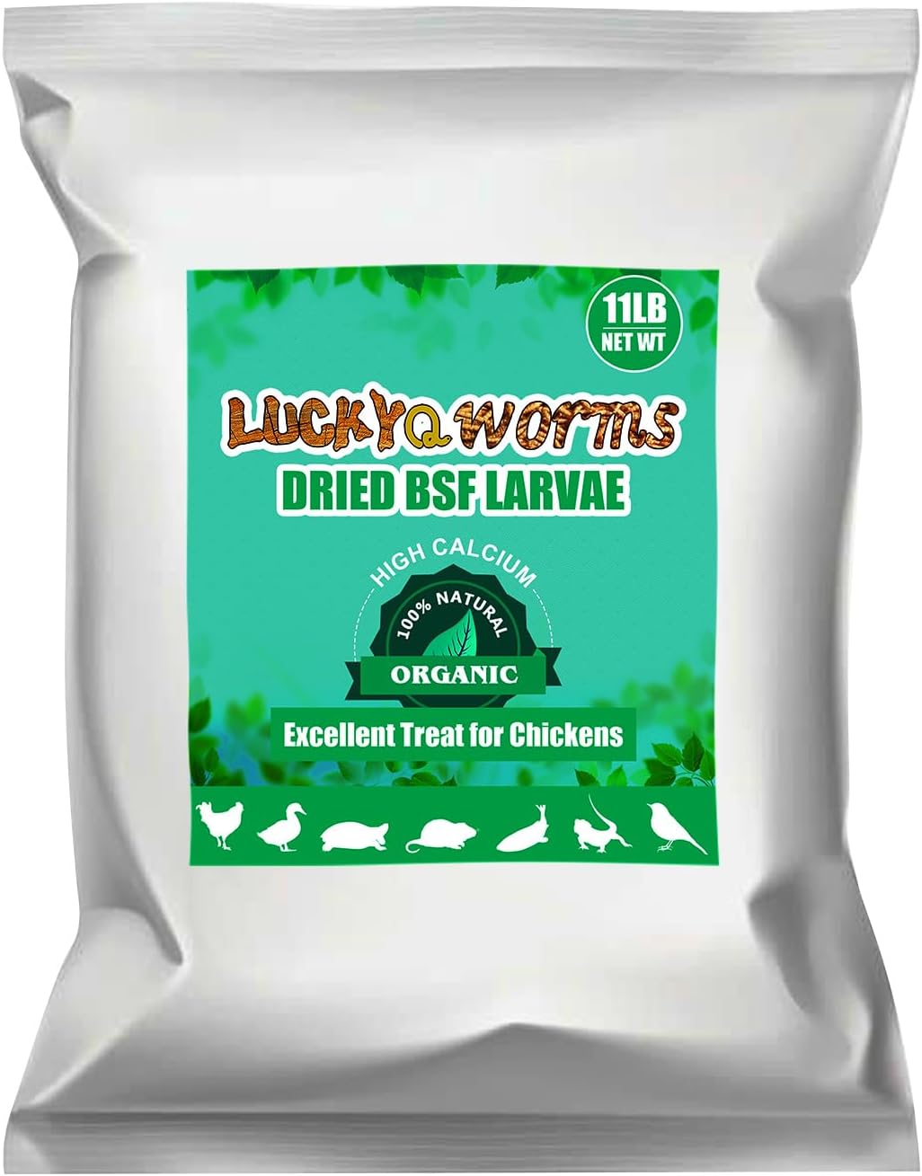 Dried Black Soldier Fly Larvae for Chickens and Wild Birds