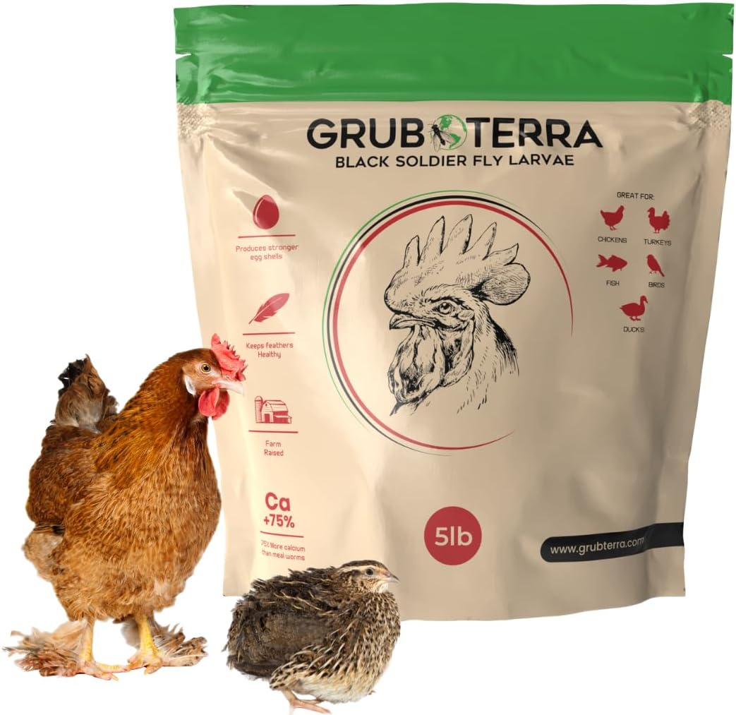 Premium GrubTerra Dried Black Soldier Fly Larvae for Chickens