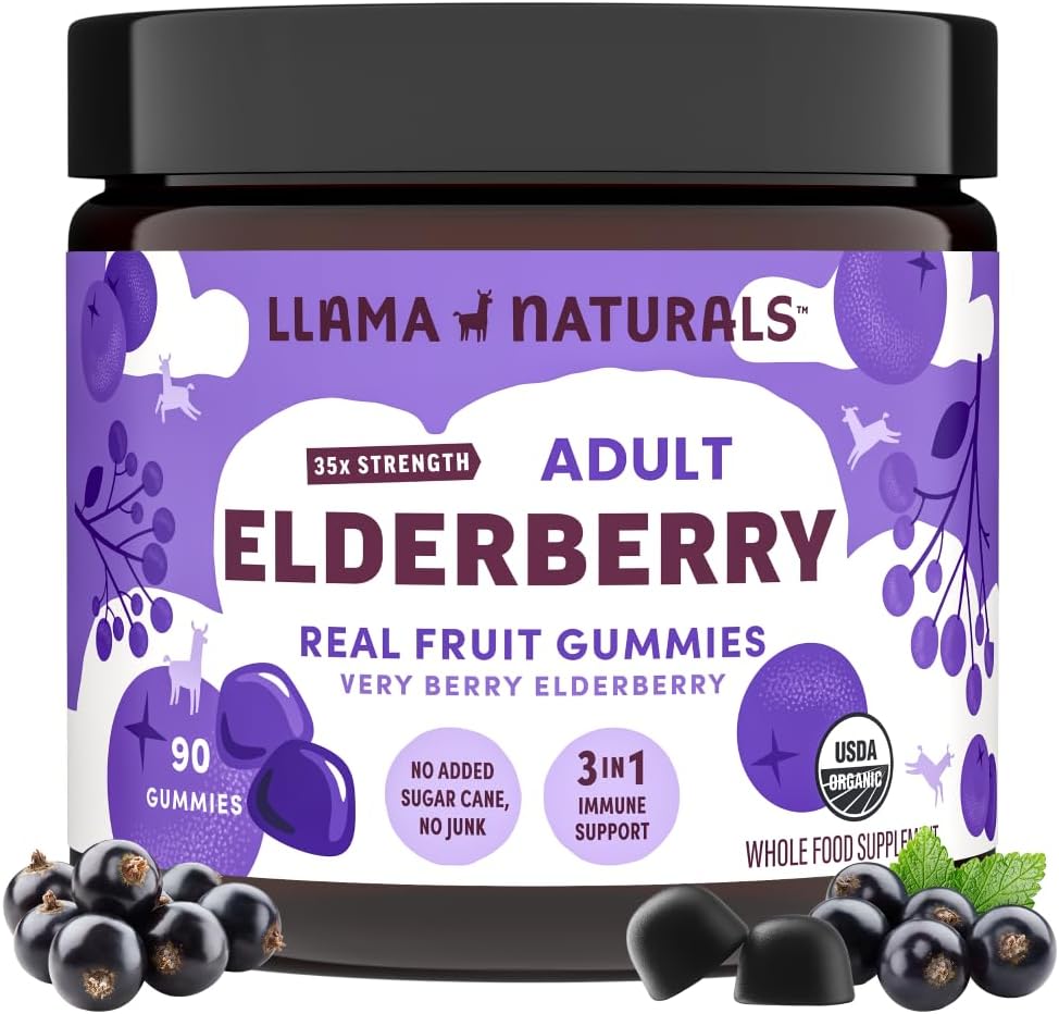 Elderberry Immune Support Gummies | Sugar-Free, Vegan, Organic | Zinc & Vitamin C