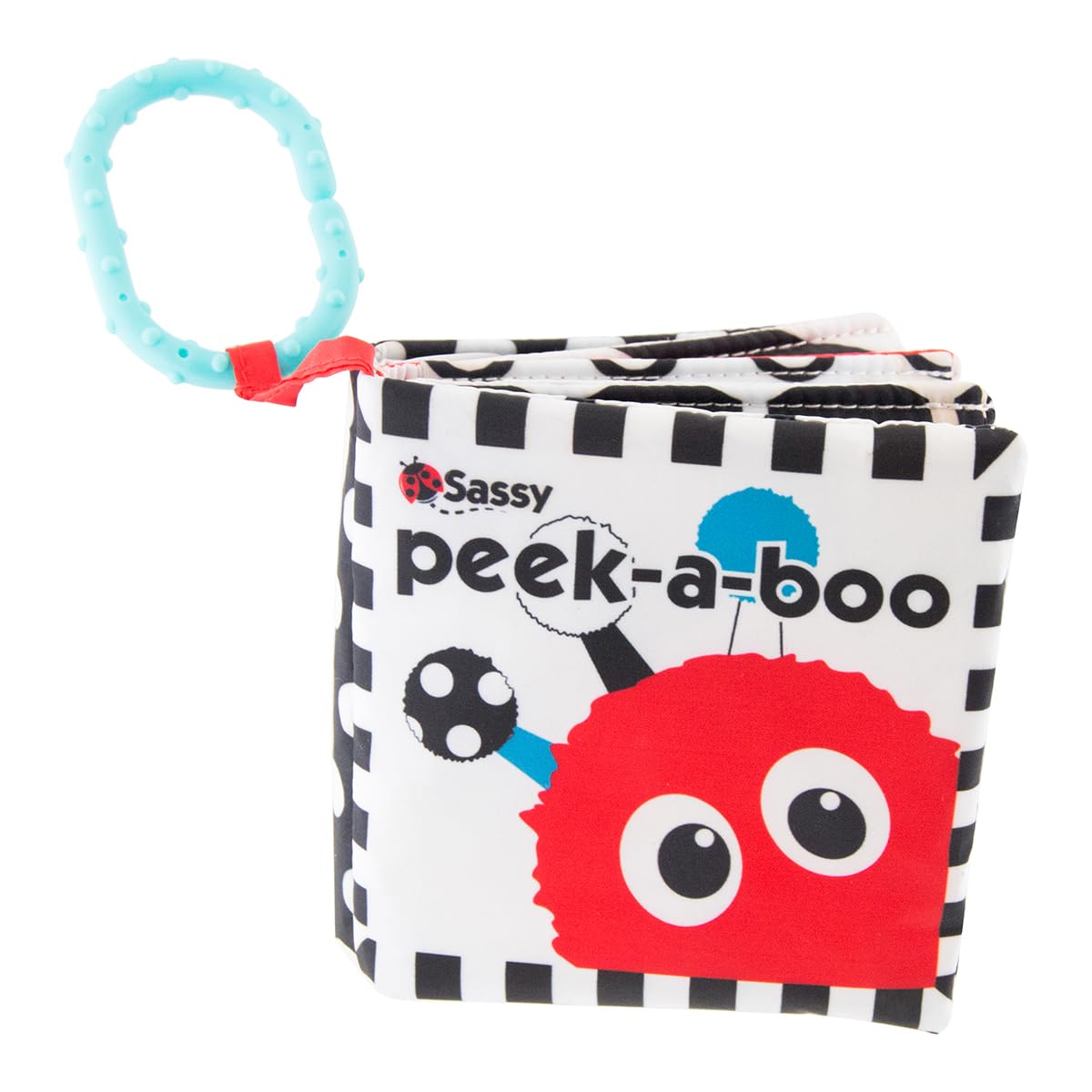 Travel-Friendly Sensory Book for Sassy Infants