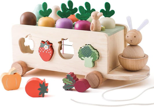 Wooden Montessori Shape Sorter Toy Set for Toddlers