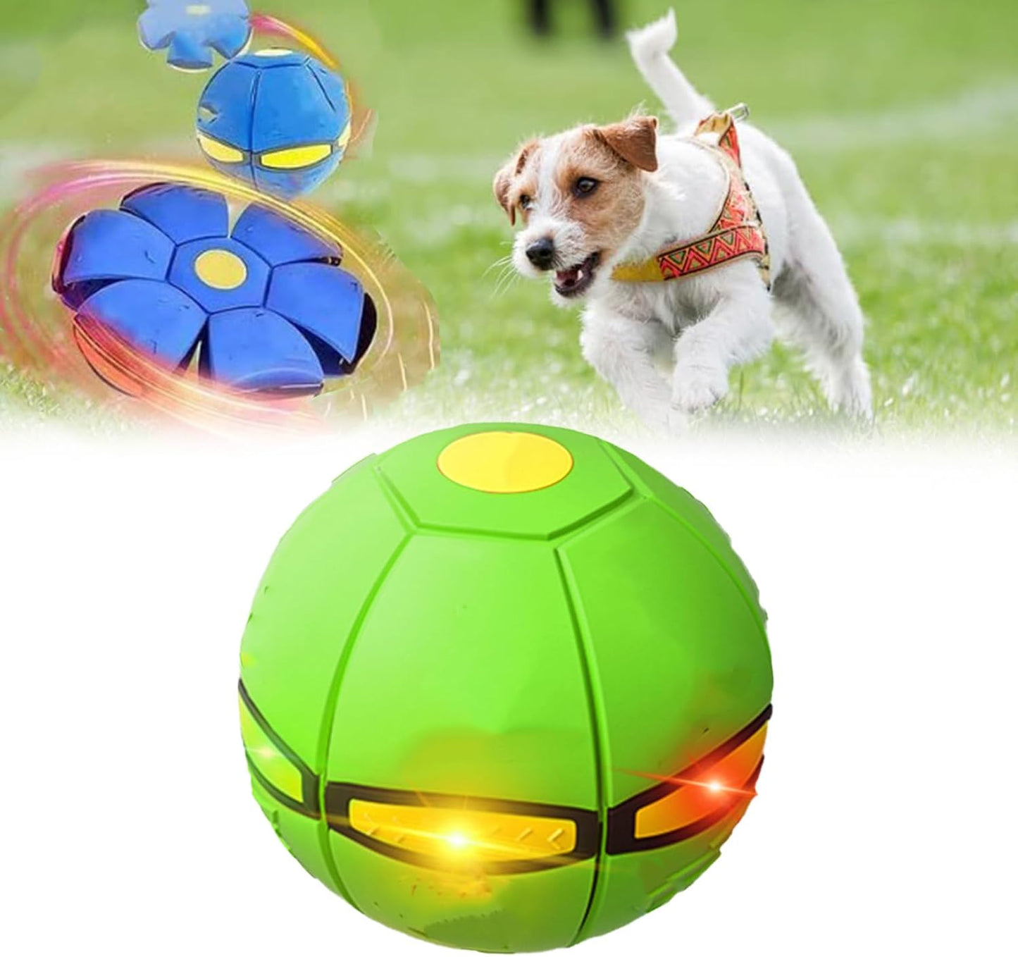 Interactive Dog Disc Ball - Jumping Fun!