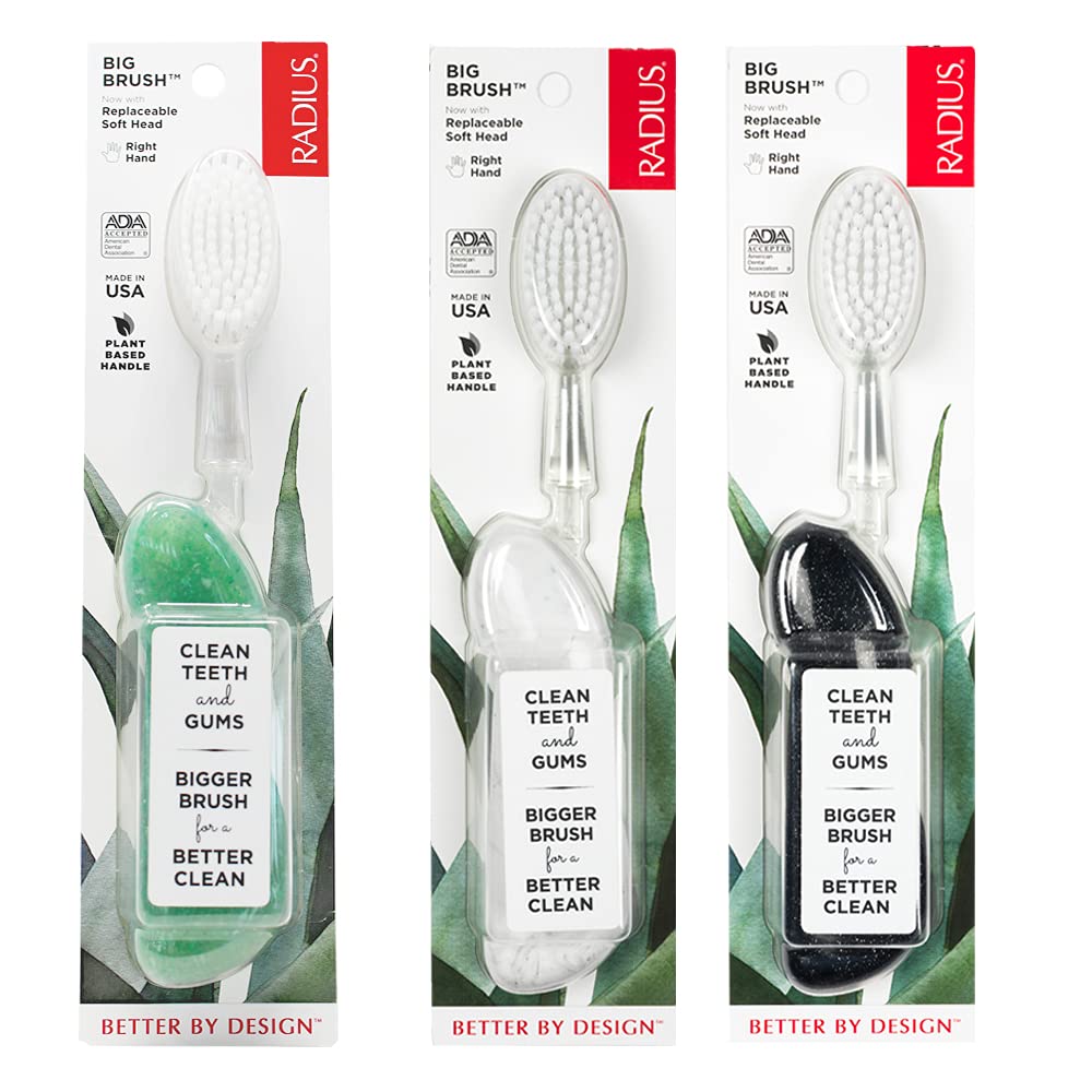 Eco-Friendly Big Brush with Replaceable Head for All Users