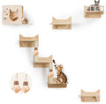 Wall-Mounted Cat Shelves for Large Cats - 9-Piece Pine Climbing Gym