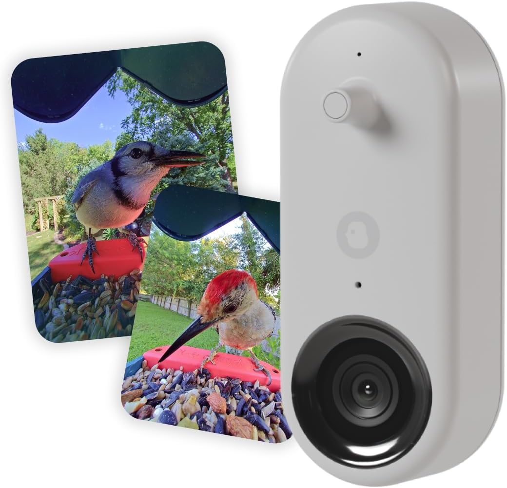 Bird Buddy Pro: Capture Stunning Bird Moments!