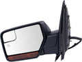 TRQ Driver Side Power Heated Memory Paint to Match Mirror - Direct Fit