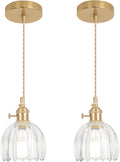 Mini Pendant Light 2 Pack with Clear Tulip Glass Lampshade - Vintage