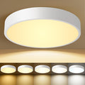 White Flush Mount Ceiling Light 12 in LED Dimmable Ceiling Lamp - 24W