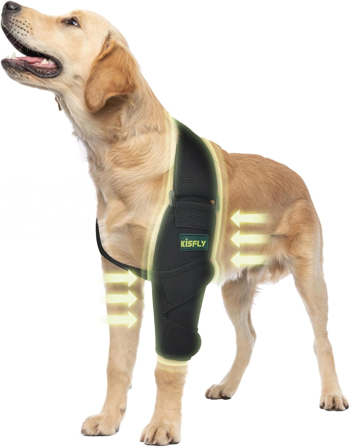 Elbow Pads for Dogs: Support for Injuries and Mobility Issues