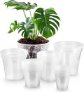 Vesici 24 Pcs Clear Nursery Pots for Indoor Plants and Succulents