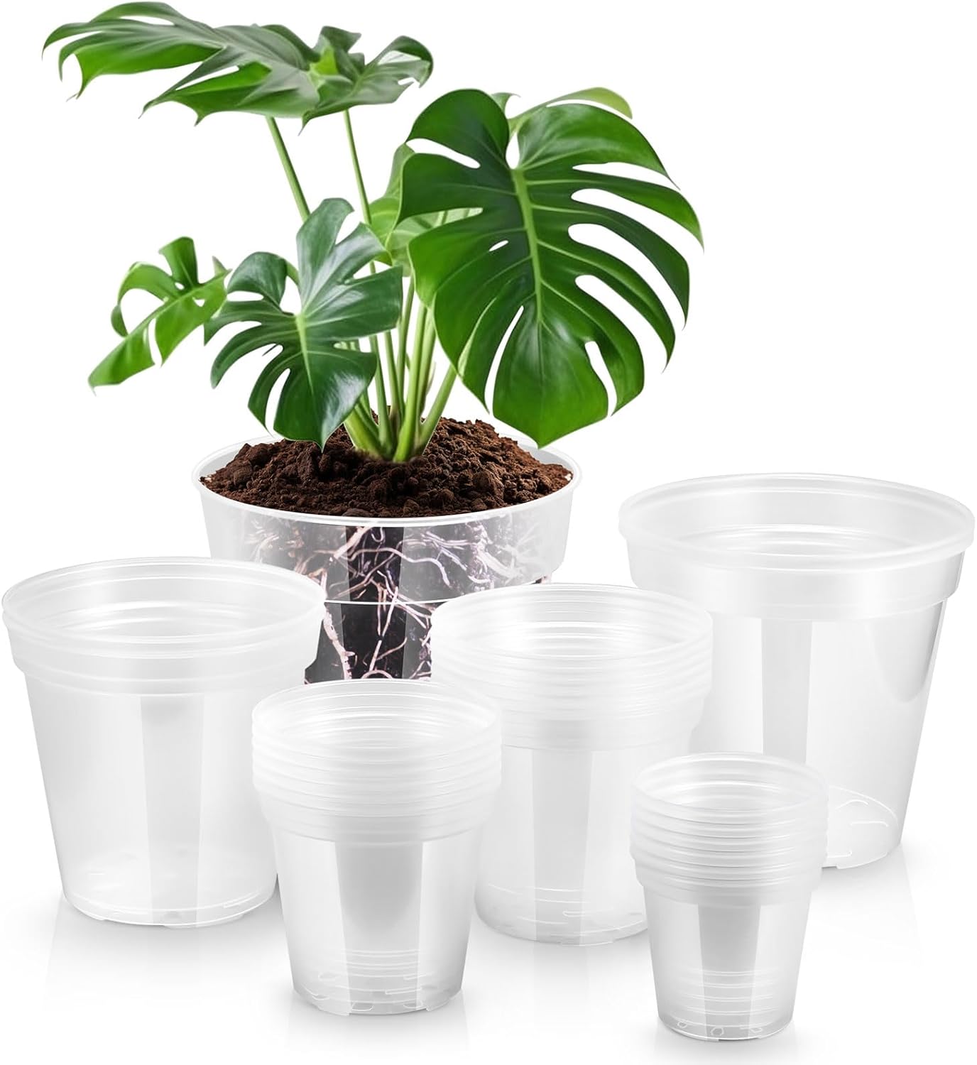 Vesici 24 Pcs Clear Nursery Pots for Indoor Plants and Succulents