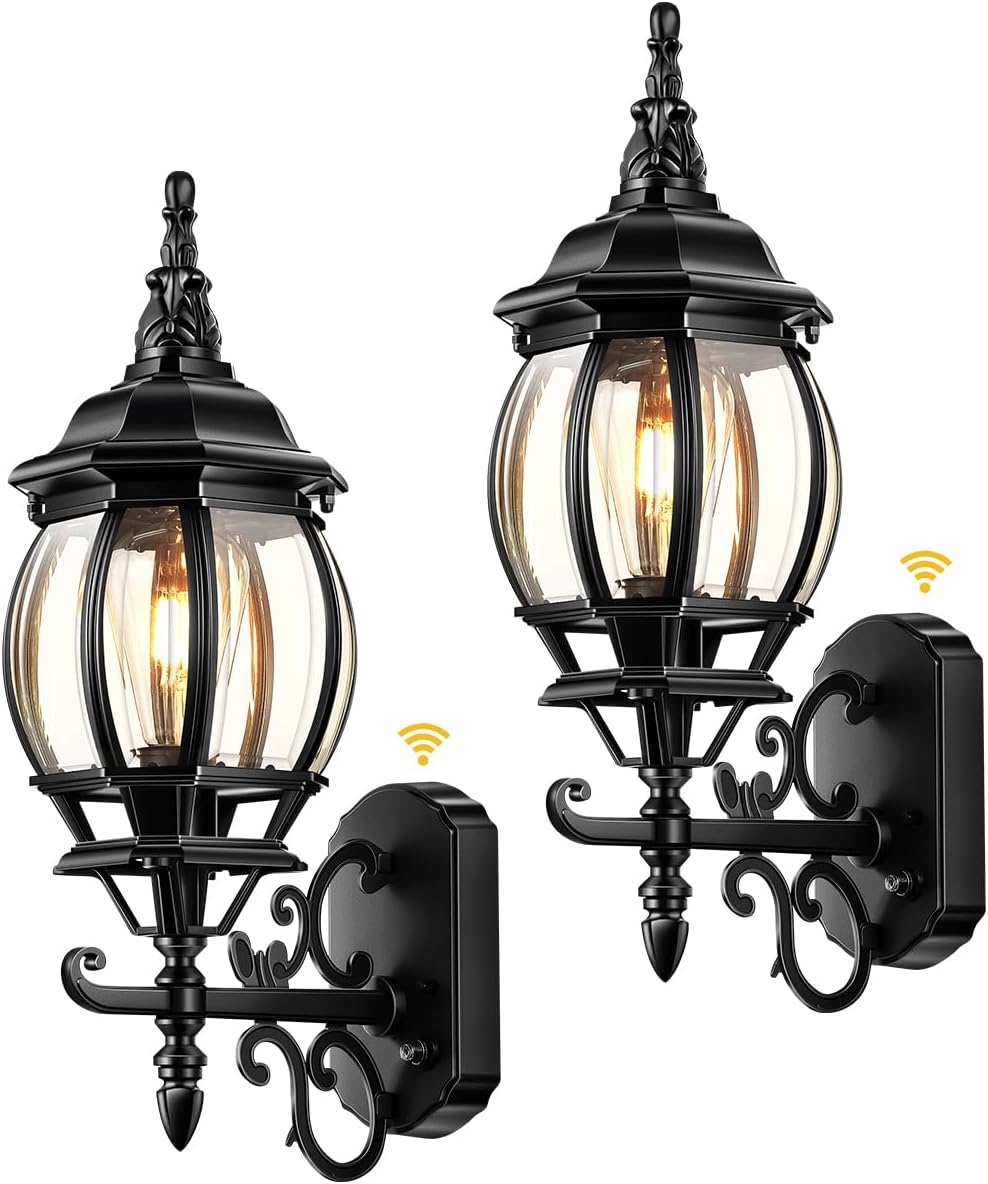 VIANIS Black Outdoor Light Fixture for Modern Home Lighting