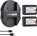 VW-VBT190 2-Pack Batteries with Dual USB Charger - Extra Run Time