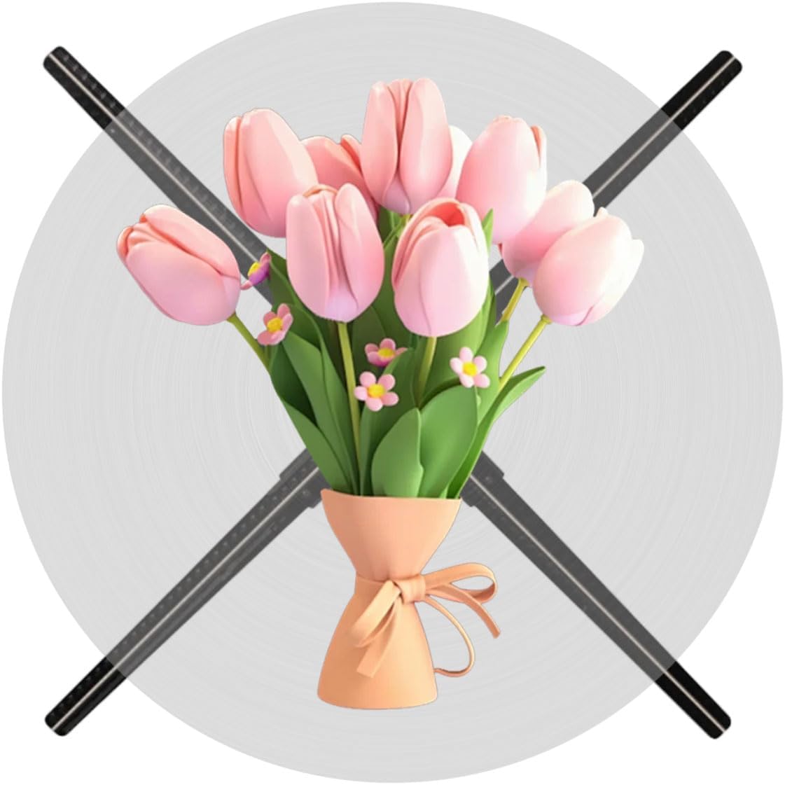 3D WiFi Hologram Fan - Stunning Store Display