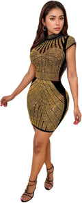 Stylish Long Sleeve Mesh Party Dress for Women with Unique Craft