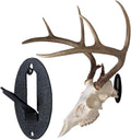 Easy European Mount Skull Hanger - Quick Install Euro Mount Kit