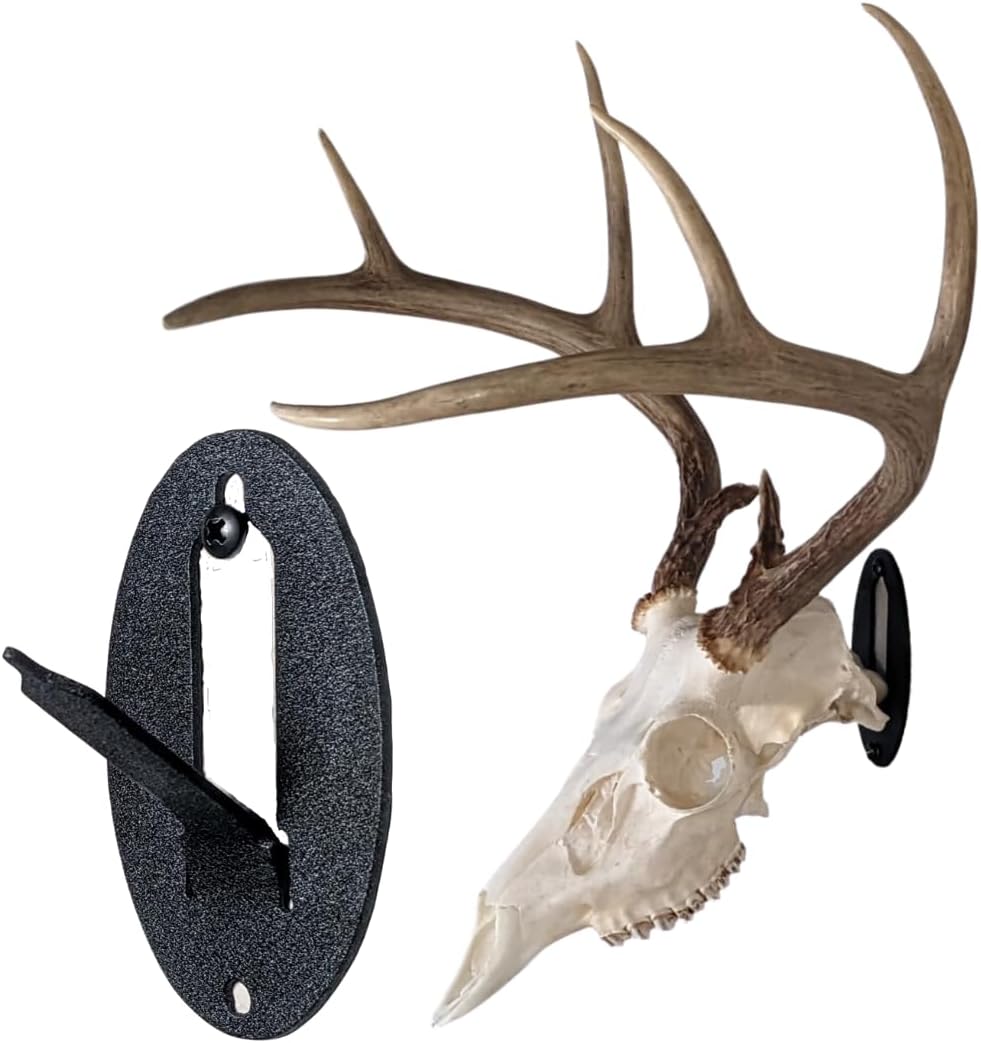 Easy European Mount Skull Hanger for Whitetail Deer and More