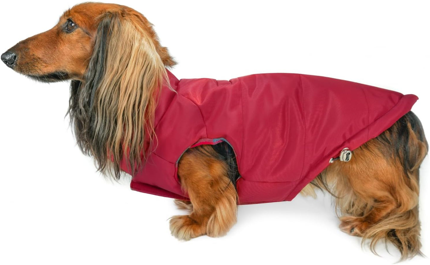 DJANGO Reversible Puffer Dog Coat for Warm Winter Adventures