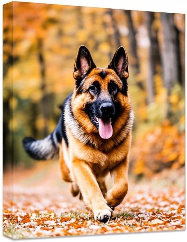 Personalized Photo to Canvas Print for Stunning Wall Art