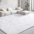 EVOIONOS Ultra Soft Area Rug for Bedroom and Living Room