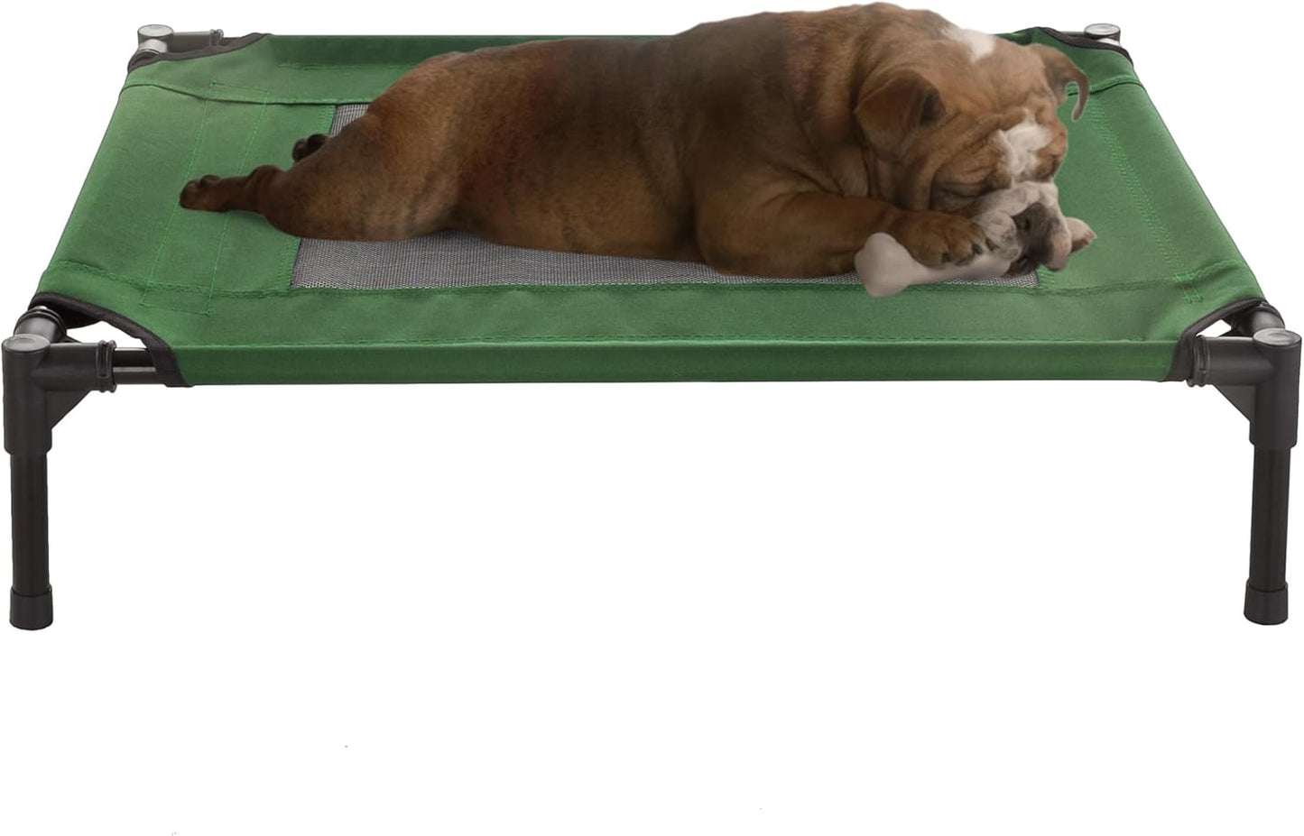 Elevated Dog Bed for Pets up to 50lbs - Portable & Durable