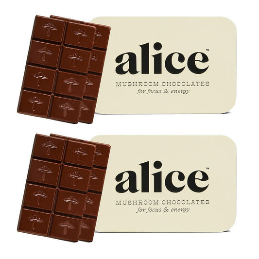 Brainstorm Functional Mushroom Chocolates for Focus & Clarity