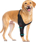 Dog Elbow Brace Sleeve Front Leg Support - Breathable Comfort XL