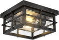 Modern Outdoor Ceiling Light Fixtures 2-Light Black Flush Mount