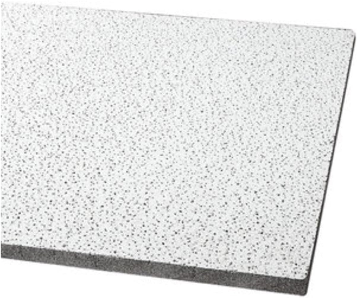 Armstrong 2x4 Ceiling Tiles for Acoustic Ceilings - 12 pcs