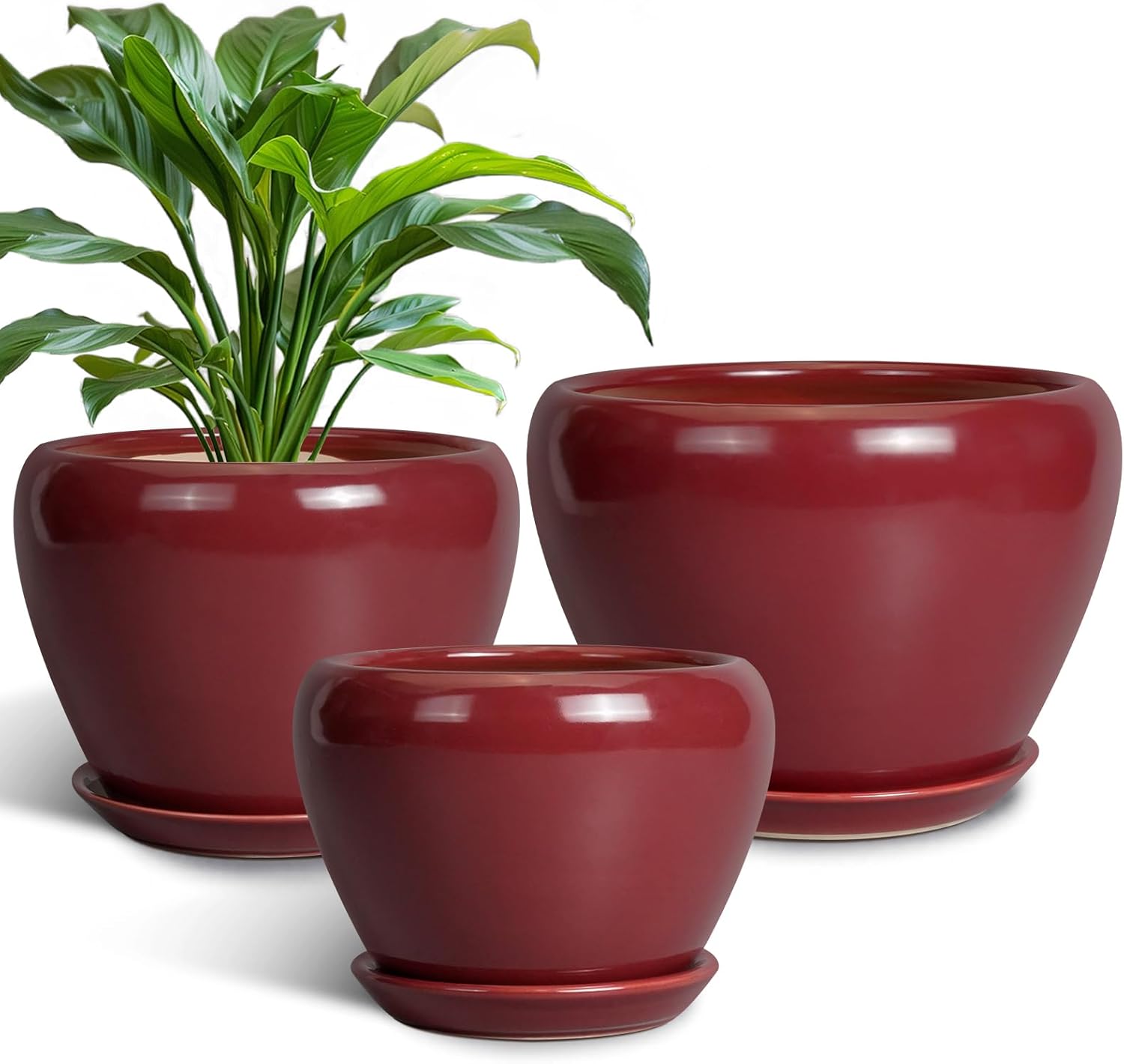 Ceramic Pots for Plants - Set of 3 Decorative Planters