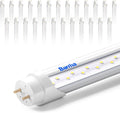 Barrina T8 LED Bulbs 4 Foot Type B 24W 3200LM 6000K - Bright Retrofit