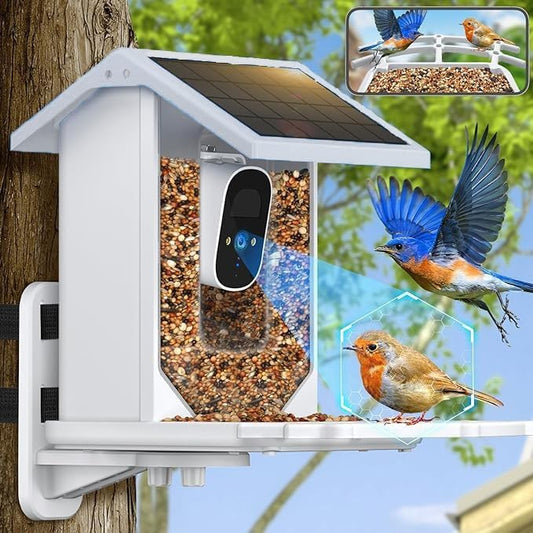 4G Smart Bird Feeder: AI Identify, Solar Powered, 2.5K Camera