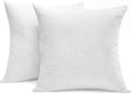SNUG&COZY Luxury Goose Down Feather Pillow Inserts 20x20in - Pack of 2