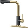 Kitchen Faucet with Pull Down Sprayer - Classic L-Shaped Pull Out