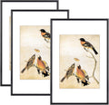 8x12 Picture Frame Set of 3 - Black Metal Frames with HD Glass