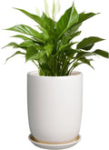 Plant Pot 8 Inch Ceramic Planter for Indoor Plants - Modern White