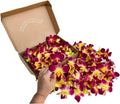 Miami Fresh Orchid Loose Bloom 100 Yellow - DIY Lei