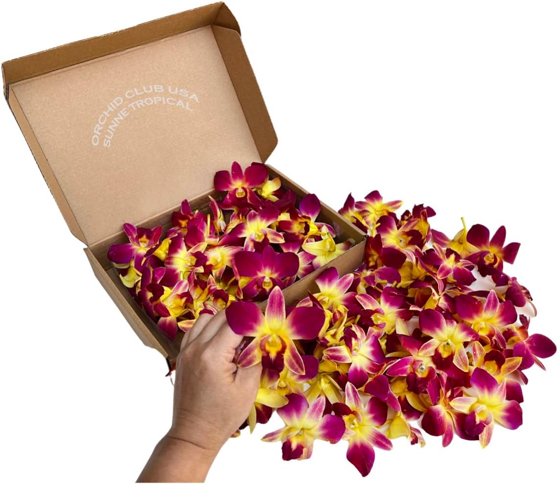 Fresh Orchid Loose Bloom for DIY Lei and Decorations - 100 Yellow