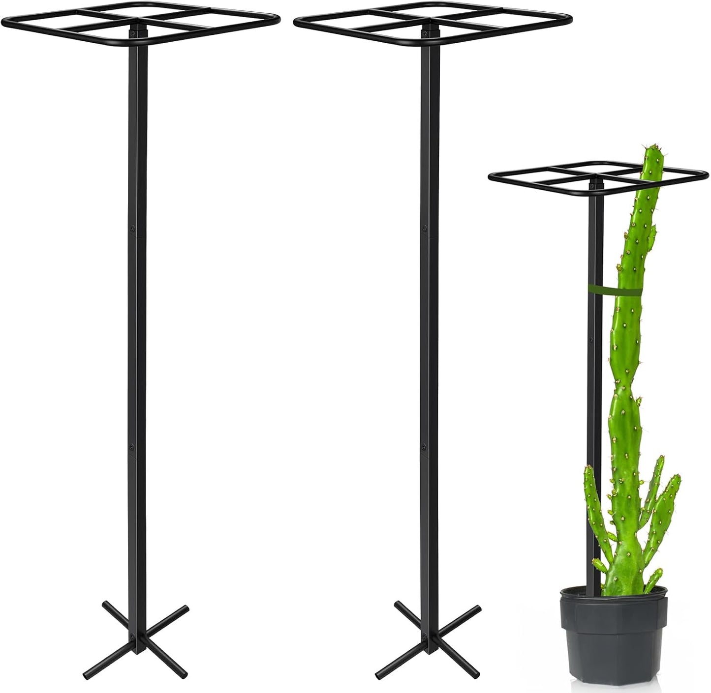 Adjustable Metal Dragon Fruit Plant Trellis for Garden Support