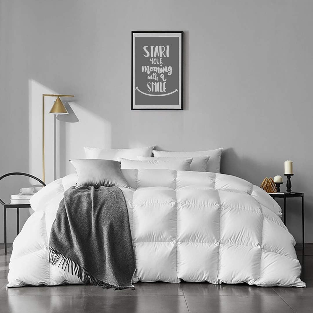 APSMILE Twin Size Feathers Down Comforter for All Seasons