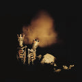 Riot Act Vinyl LP - Limited Double Gatefold Pressing