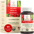 Artery Plaque Removal Formula - 4-Element Heart Support