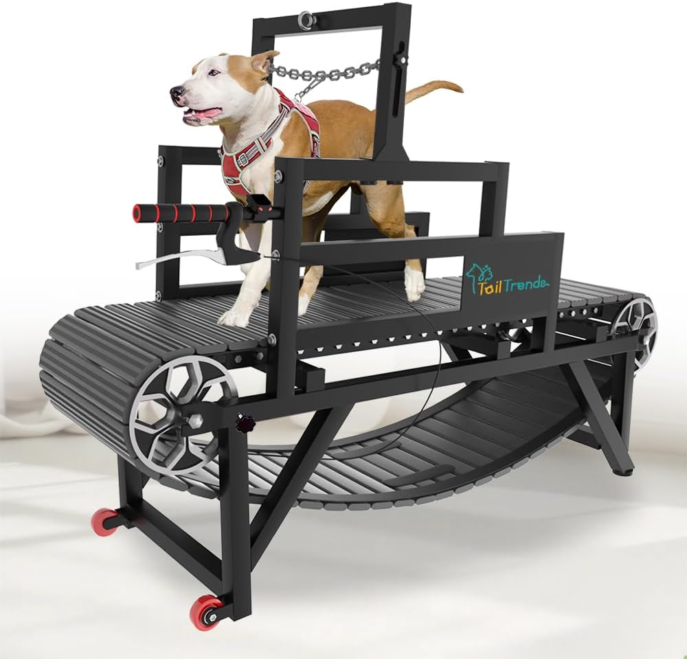 Dog Treadmill by TailTrends: Multi-Functional & Safe